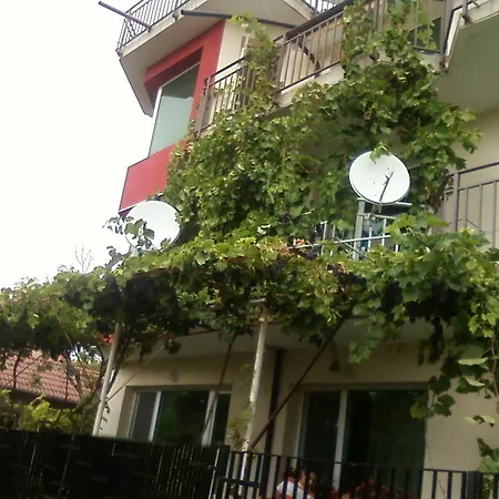 Guest house Sunny Hill Fish Fish